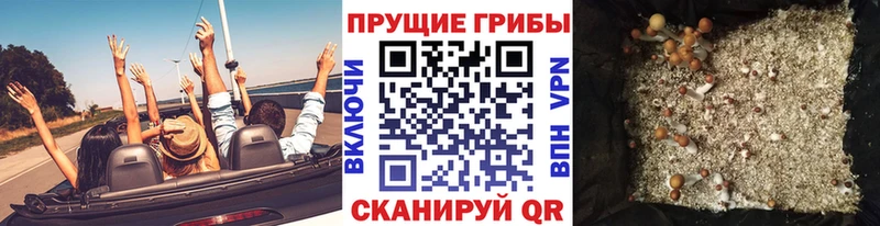 Галлюциногенные грибы Magic Shrooms  omg ссылка  Уяр 